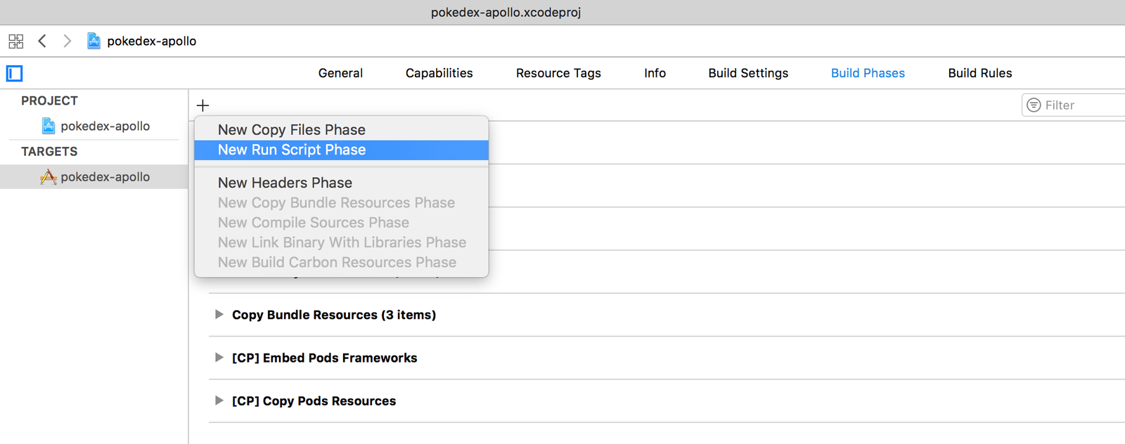 Add a Run Script Phase